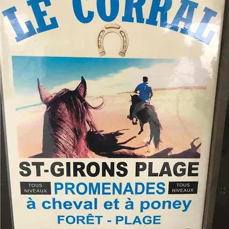 Refait à Neuf En Octobre 2025 Dans Villages Fougeres Villages Sous Les Pins Pas De Draps Serviettes Dans Le Ménage à Vous De Le Faire Obligatoirement * Léon