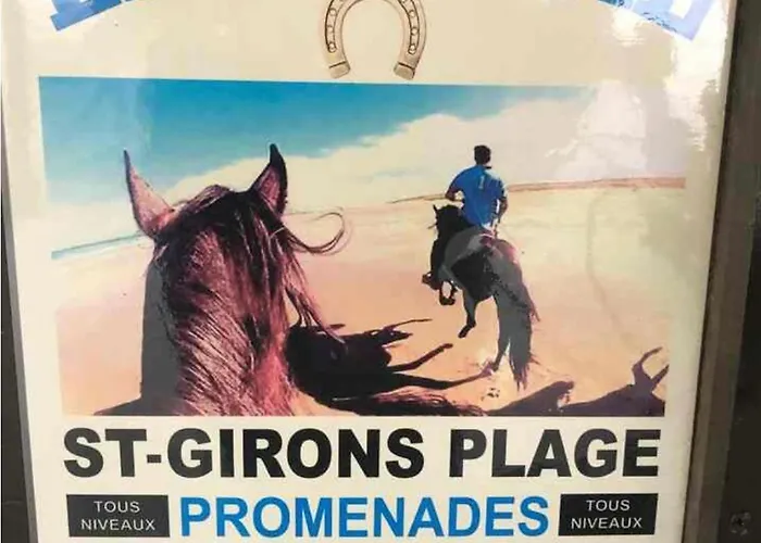 Refait A Neuf En Octobre 2025 Dans Villages Fougeres Villages Sous Les Pins Pas De Draps Serviettes Dans Le Menage A Vous De Le Faire Obligatoirement * Léon